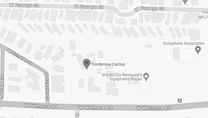 google map of ponderosa cactus