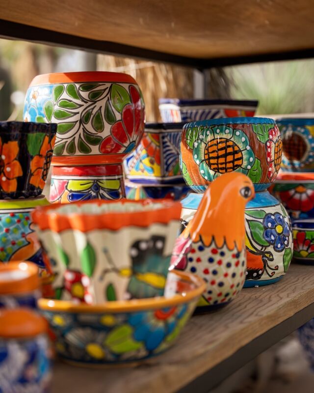 🌍 As April comes to a close, let's celebrate sustainable living with our vibrant pottery collection! Each piece at Ponderosa is crafted with care and designed to enhance your eco-friendly lifestyle. From colorful planters to elegant vases, our pottery adds a touch of style to your home while reducing environmental impact. Join us in choosing sustainable choices for a brighter tomorrow. Explore our collection today and make a statement for a greener world. #SustainablePottery #EcoFriendlyDecor #ColorfulLiving #GreenLiving #SustainabilityMatters #EveryDayEarthDay