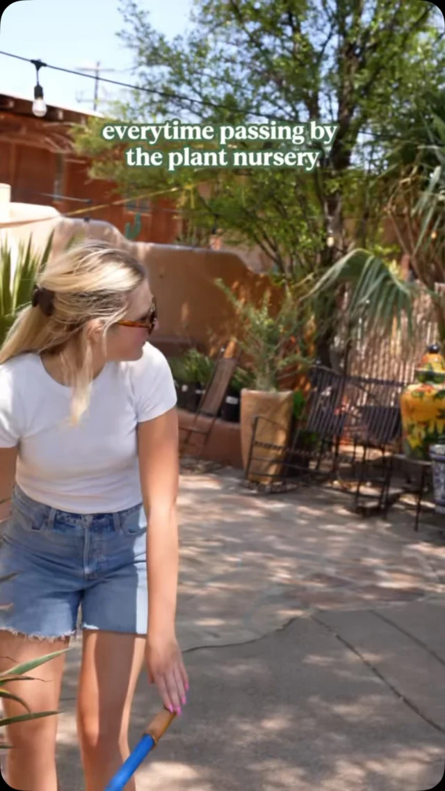It happens to the best of us… one minute you’re walking by, next minute you’re leaving with the perfect addition to your home!
#ponderosacactus #tucsonplants