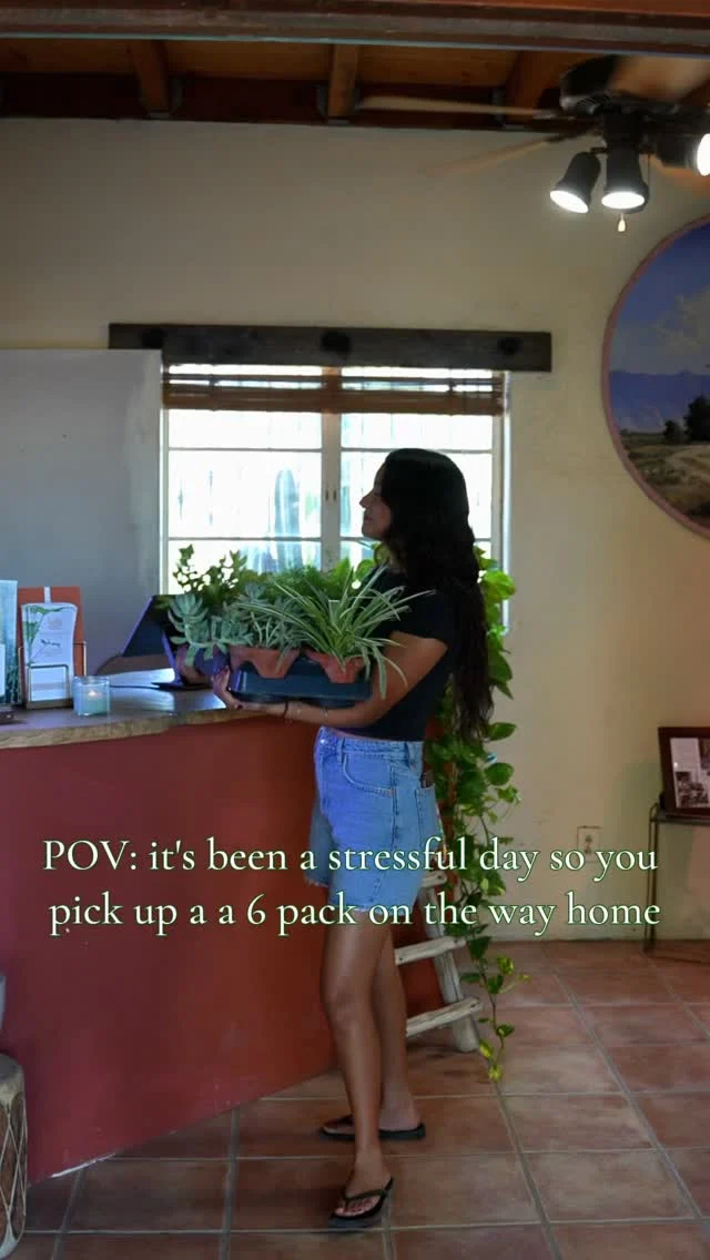 We can’t think of a better way to end a long day than at Ponderosa Cactus! 😂🌵
#ponderosacactus #tucsonplants