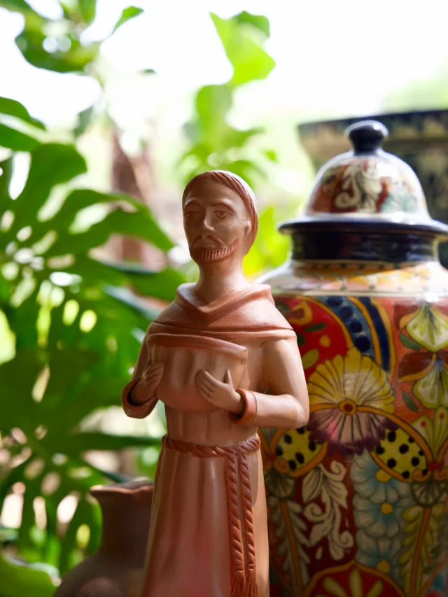 It’s the little details that bring a space together. Browse our pottery collections at Ponderosa Cactus and find a piece made for you! 
#ponderosacactus #tucsonplants